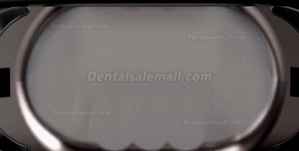 Bonin BM01-T 10W Bench Mounted Dental LED Teeth Whitening Lampe 3 Color Light